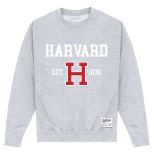 Harvard University Unisex Adult Est 1636 Sweatshirt / Heather Grey
